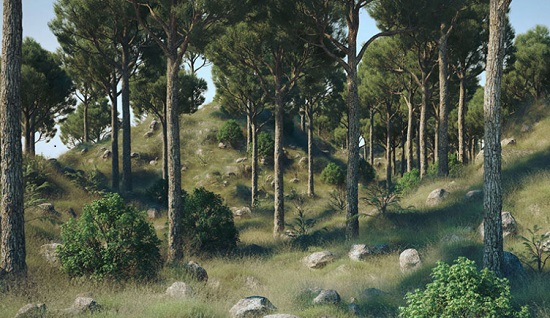 3dquakers forester for cinema 4dֲ����ľʯͷ���ɲ������